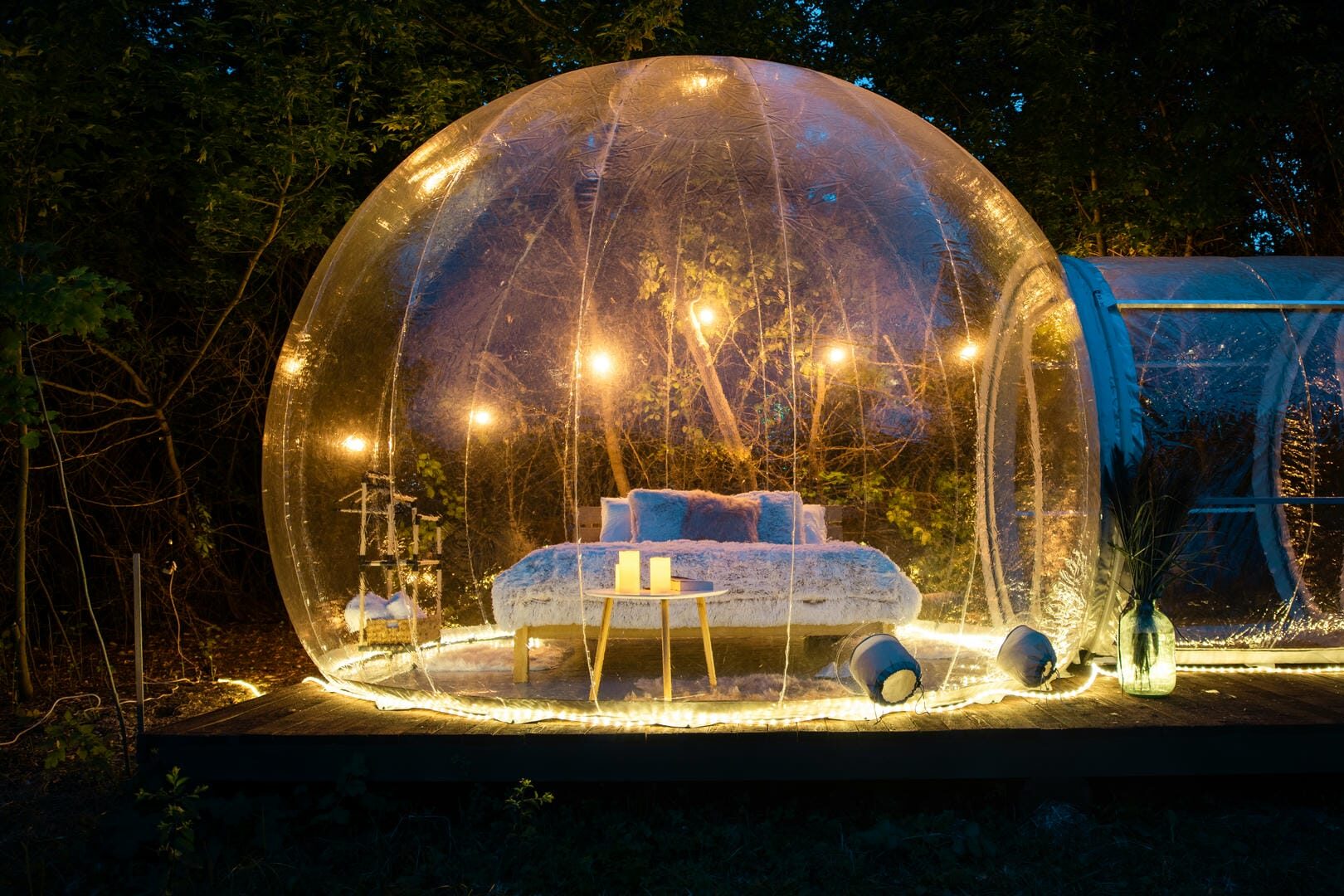 Bubble Room