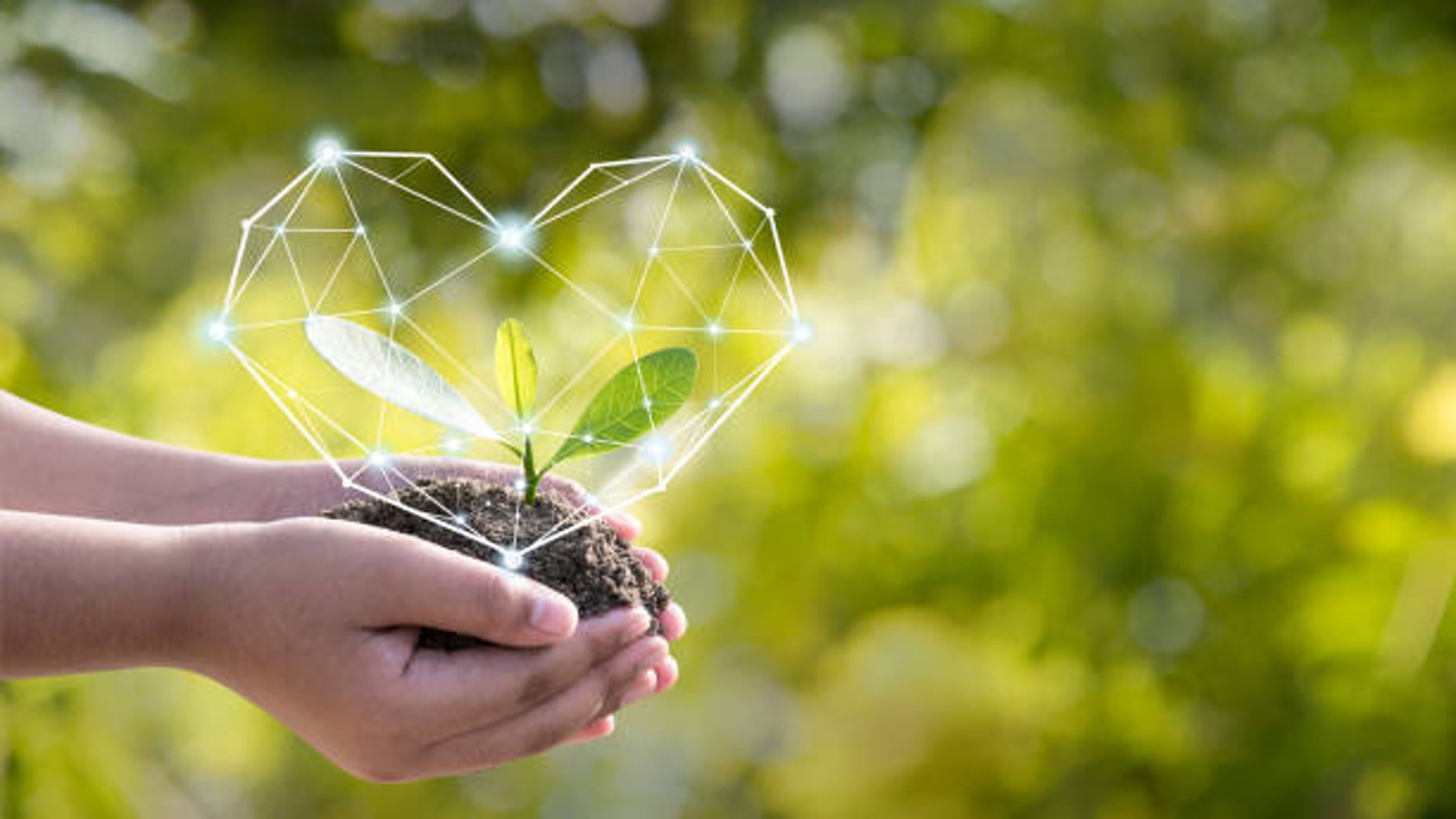 Scopri le novità del 2025: regali che uniscono creatività, sicurezza e energia pulita