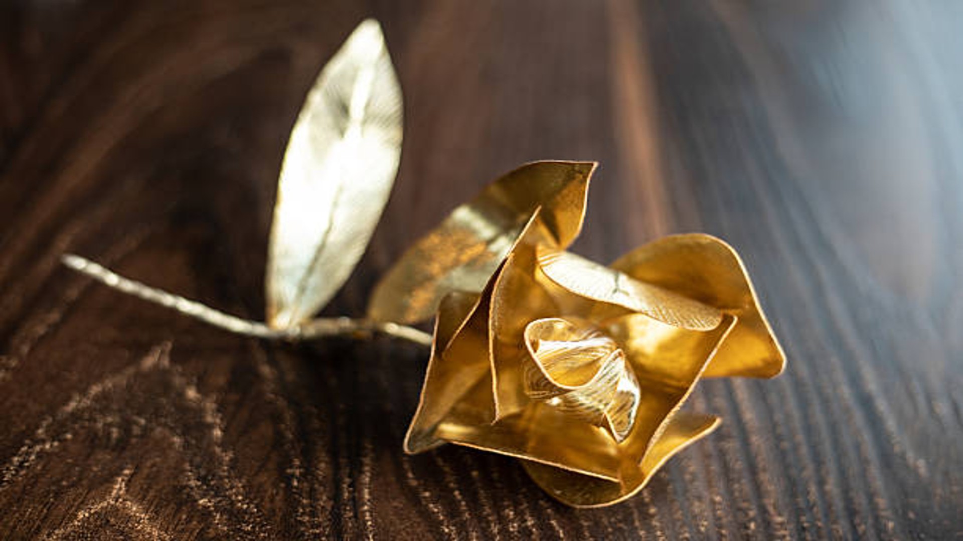 Idee regalo per ogni occasione: dall’organizzazione all’eleganza scrivendo con stile