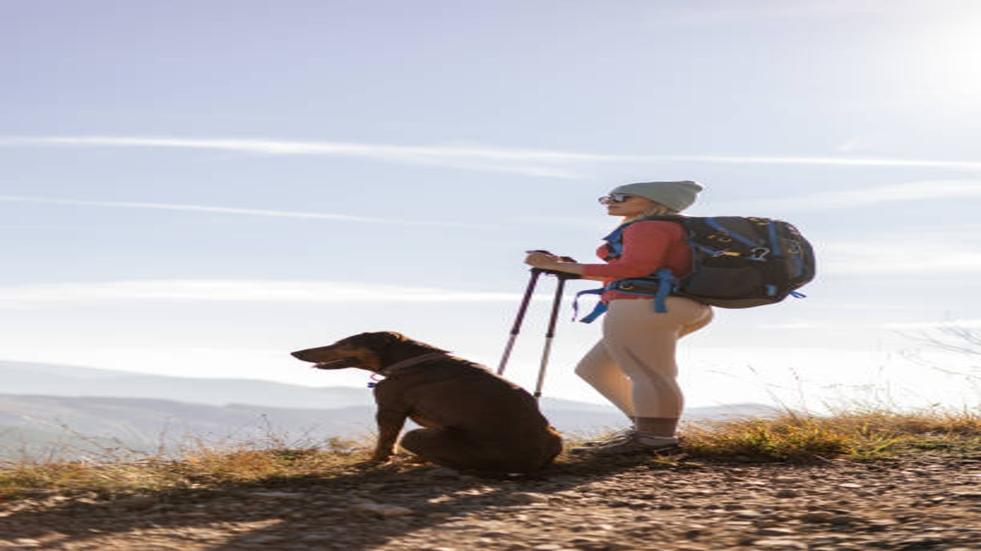 Regala l’essenziale per le escursioni: dal fornello compatto ai supporti ginocchio e zaini militari