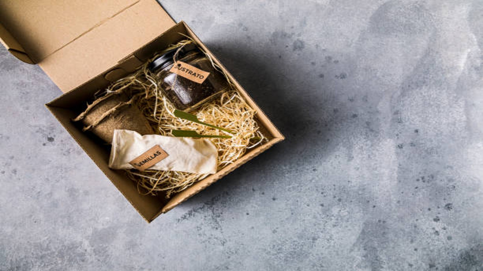 Innovativi regali di tendenza: kit per il gin, candele e divertimento creativo per tutta la famiglia