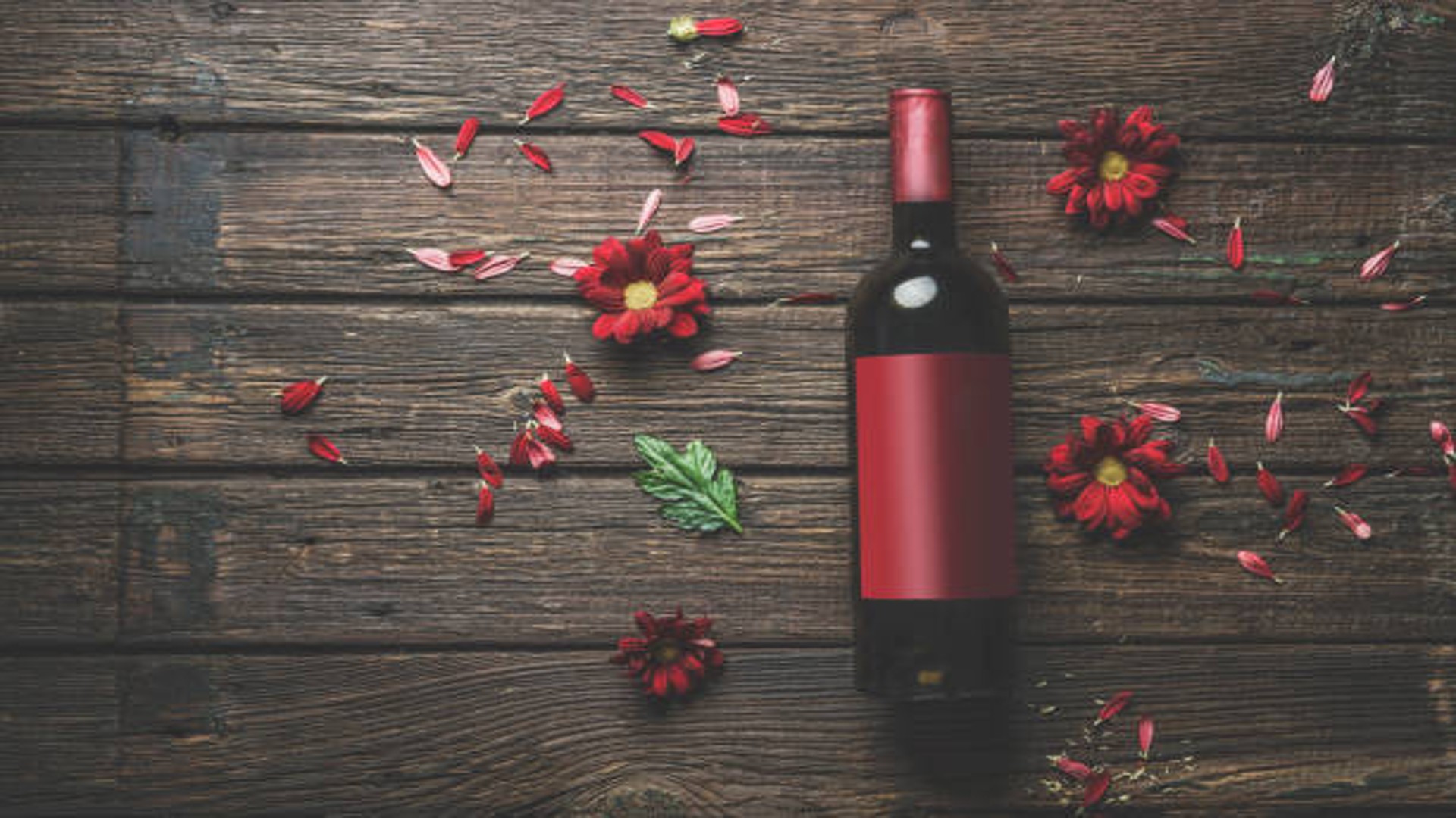 Il regalo perfetto per gli amanti del vino: stile, funzionalità e raffinatezza