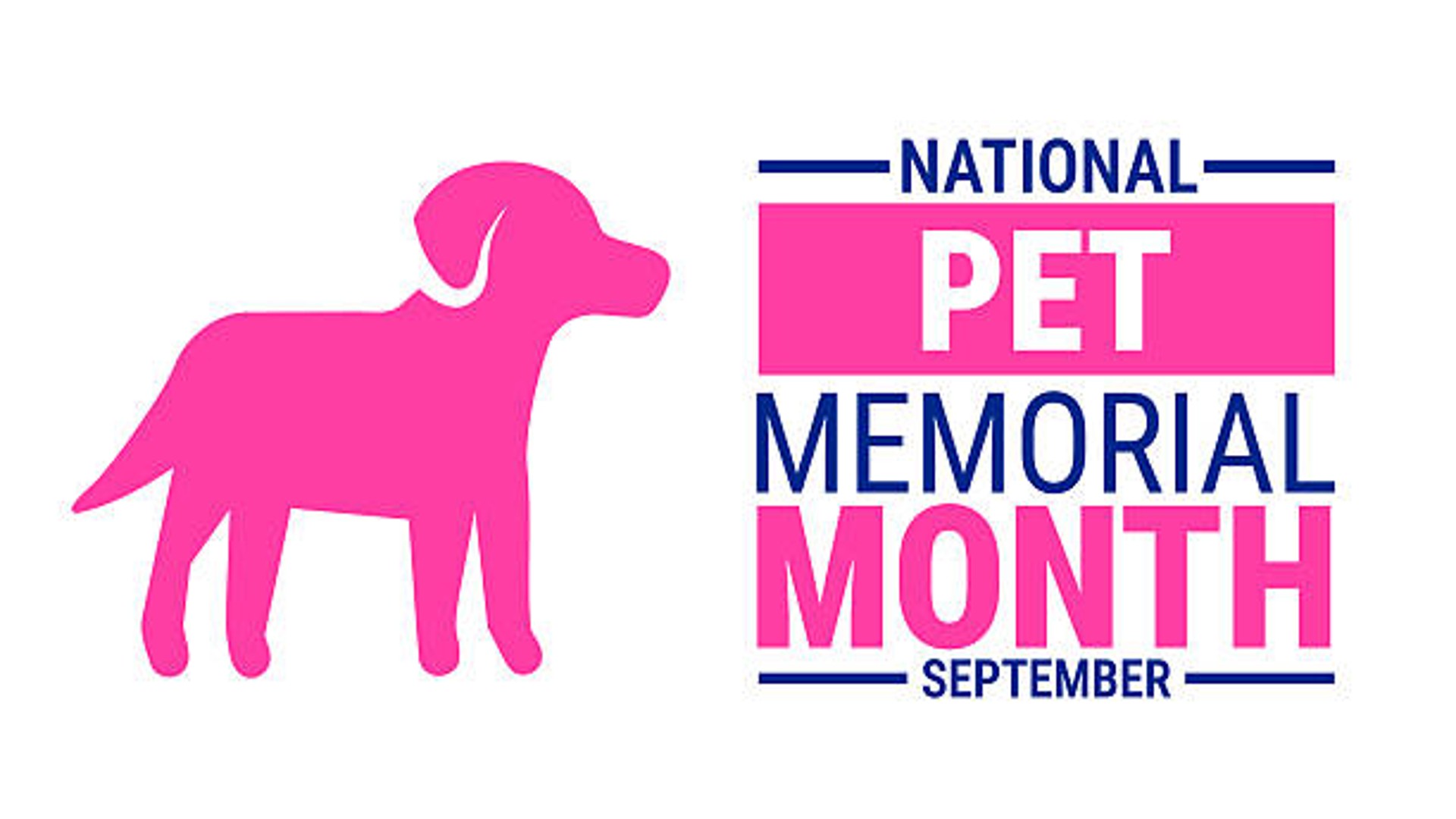 Idee regalo innovative per amare e ricordare i tuoi animali e i momenti speciali